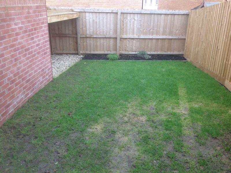 2 bed house to rent in South Petherton, Somerset  - Property Image 8
