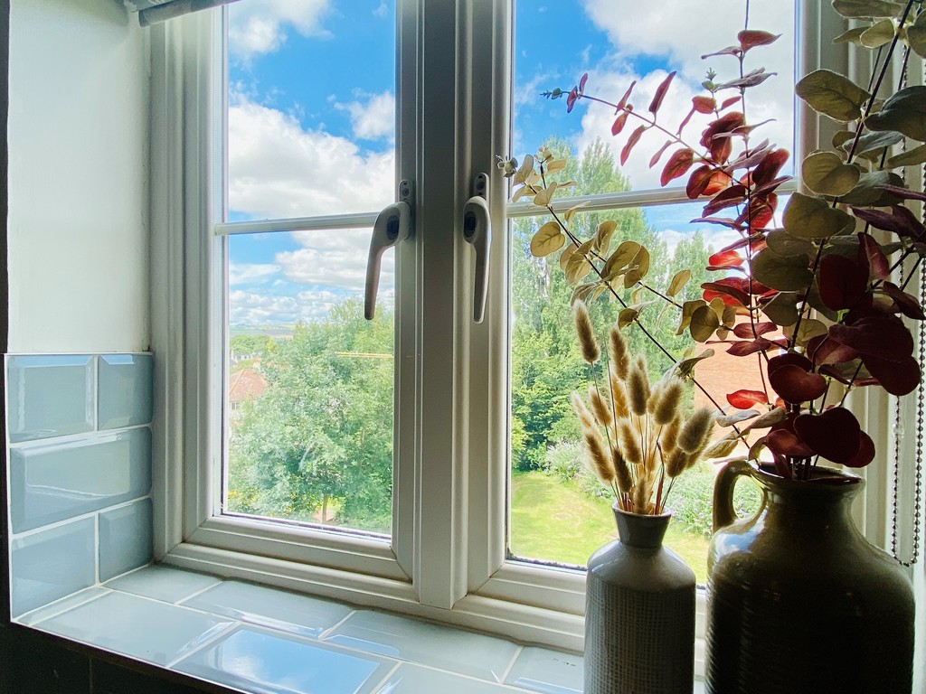 2 bed flat to rent in Gras Lawn, St Leonards, Exeter  - Property Image 4