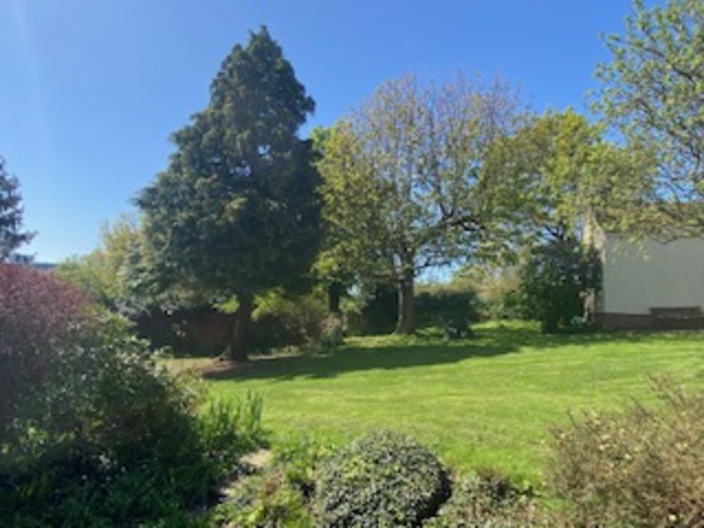 4 bed bungalow to rent in Moorlake, CREDITON  - Property Image 21