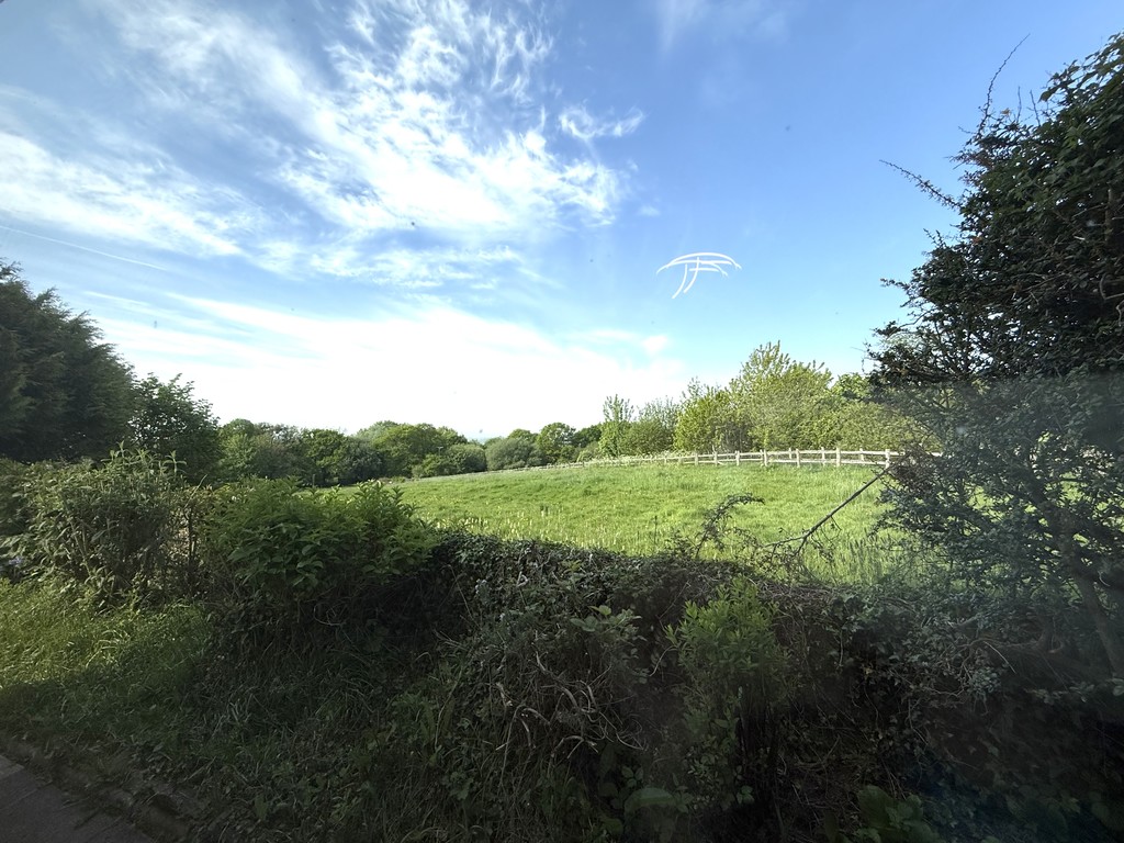 3 bed bungalow to rent in Morchard Bishop  - Property Image 8