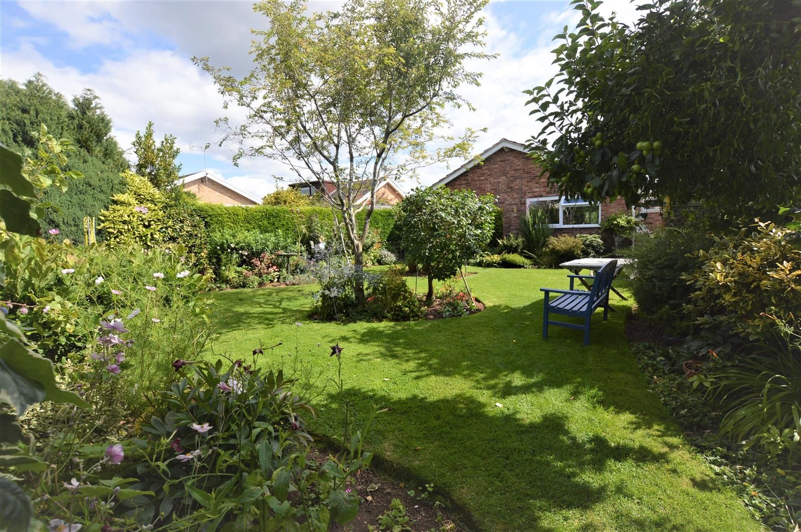 3 bed detached bungalow for sale in Bodenham 9